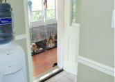 Puppies are whelped in our bedroom, so we can be available to the dam and puppies day or night.