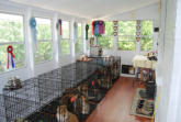 The kennel area is adjacent to our kitchen.  We can have contact with the dogs at all times.