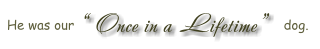 � Once in a Lifetime�  He was our                                                     dog.