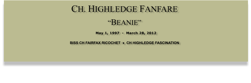 CH. HIGHLEDGE FANFARE  �BEANIE�  May 1, 1997  -  March 28, 2012 BISS CH FAIRFAX RICOCHET  x  CH HIGHLEDGE FASCINATION