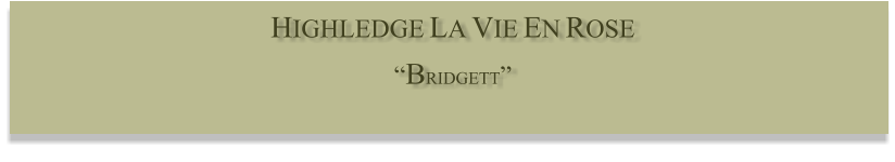 HIGHLEDGE LA VIE EN ROSE  “BRIDGETT”