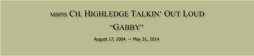 MBPIS  CH. HIGHLEDGE TALKIN� OUT LOUD   �GABBY�  August 17, 2004  ~ May 31, 2014