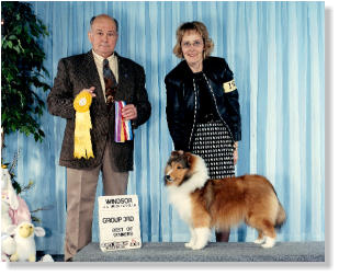 Gabby's  First Show Winners Bitch ~ Best of Winners ~ Best of Breed Group 3rd