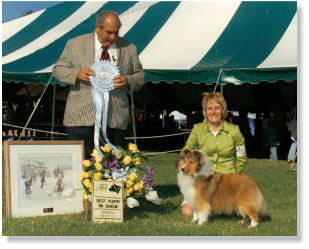 Gabby's Second Best Puppy In Show ~ Richard Chashoudian ~ Baton Rouge ~ LA ~ USA