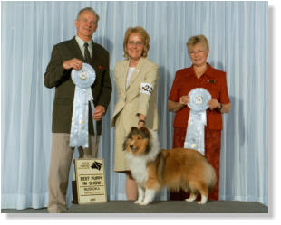 Our sincere thanks to judges Mel and Joan Beach for the wonderful  BACK TO BACK Best Puppy in Show wins.