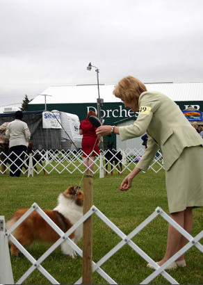 Gabby's BEST OF BREED AND GROUP 4TH at the Monarch Show in Dorchester.  This girl LOVED to show, and she LOVED her co-owner, and would do anything for her.