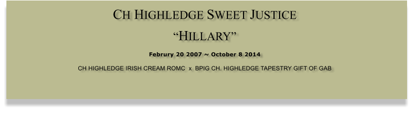 CH HIGHLEDGE SWEET JUSTICE  �HILLARY�  Februry 20 2007 ~ October 8 2014 CH HIGHLEDGE IRISH CREAM ROMC  x  BPIG CH. HIGHLEDGE TAPESTRY GIFT OF GAB
