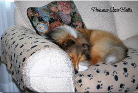 And what Izzie does BEST... hanging out at home.