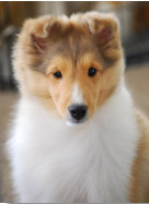 The beautiful Baby Izzie at 3 months.