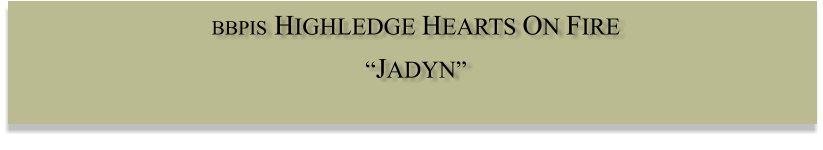 BBPIS HIGHLEDGE HEARTS ON FIRE  JADYN