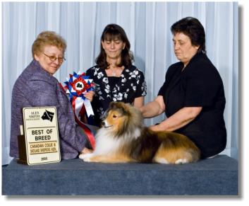 Maddison is pictured in May 2008 winning Best of Breed from the Veteran Class. Thanks to Shirley Perry for her expert handling of our sweet ol' girl