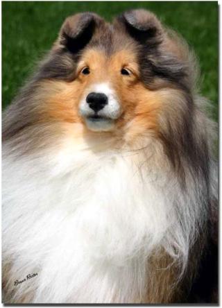 Maddison is pictured at 10 years old