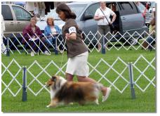 We're on the move, at nines years old, she could still move better than I.