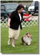 There are not many photos in which Shirley is smiling; this photo shows how much she LOVED showing this Special little bitch! 