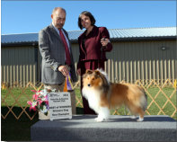 CH. HIGHLEDGE GRAND STAND (Isaac) is pictured at the Oakville & District Kennel Club where he was Winners Dog and then on to Best of Winners to finish, shown by co-owner Sue Pike. 