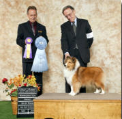 Cassie is pictured winning Best of Winners and Best Puppy in Specilty at just 7 1/2 months.