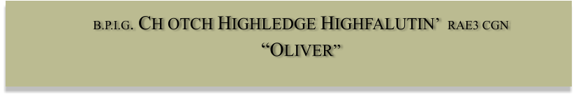 B.P.I.G. CH OTCH HIGHLEDGE HIGHFALUTIN  RAE3 CGN  OLIVER