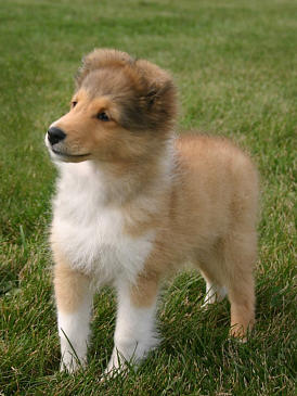 Paige at 12 weeks