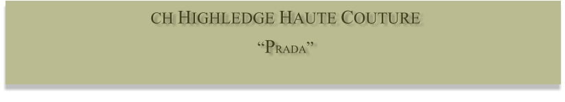 CH HIGHLEDGE HAUTE COUTURE  PRADA