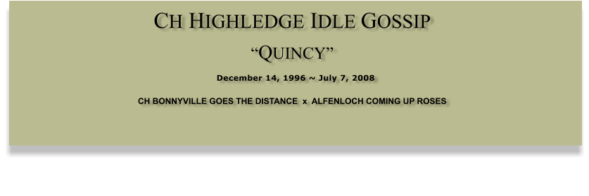 CH HIGHLEDGE IDLE GOSSIP  �QUINCY�  December 14, 1996 ~ July 7, 2008 CH BONNYVILLE GOES THE DISTANCE  x  ALFENLOCH COMING UP ROSES