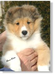 Stephanie is pictured above at  9 weeks old  