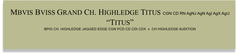 MBVIS BVISS GRAND CH. HIGHLEDGE TITUS CGN CD RN AgNJ AgN AgI AgX AgIJ “TITUS” BPIG CH. HIGHLEDGE JAGGED EDGE CGN PCD CD CDI CDX  x  CH HIGHLEDGE AUDITION