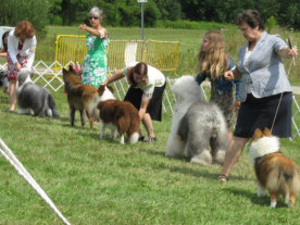 Shirley Perry and Tori in the Group Ring. They placed second in this lovely Group! Tori completed her GRAND CHAMPIONSHIP that day.