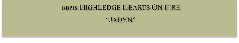 BBPIS HIGHLEDGE HEARTS ON FIRE  “JADYN”