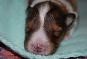 Jadyn  at two days old.