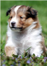 Jadyn  at four weeks old.