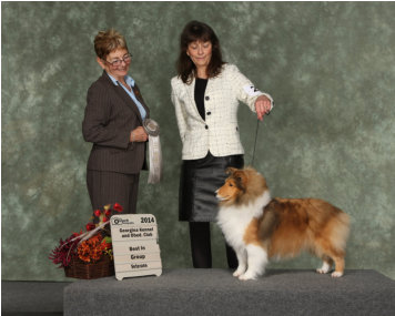 Olivia is pictured at 7 1/2 years old in the unofficial Veterans Class.  She is as beautiful now as she was as a puppy. She LOVED to be back in the ring.  It was the first time in years she had been to a show, and how lucky was I to take her on the trip.