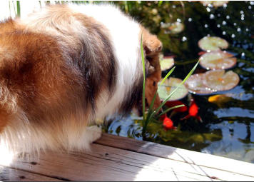 Olivia thinks that fishing should always be a part of retirement!